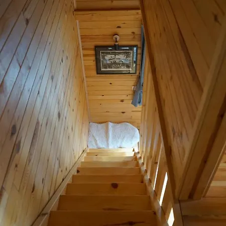 Zlatiborska Sekvoja *