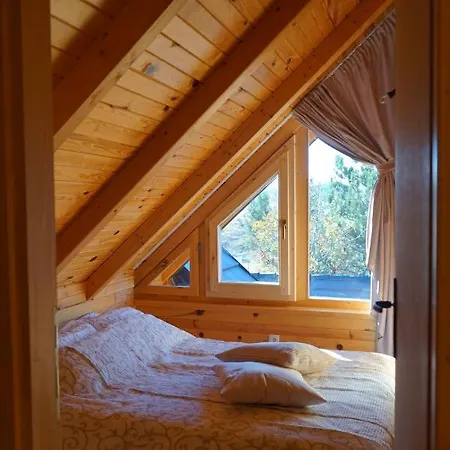 Zlatiborska Sekvoja *